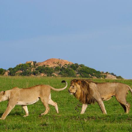 Nkomazi Game Reserve By Newmark بادبلااس المظهر الخارجي الصورة
