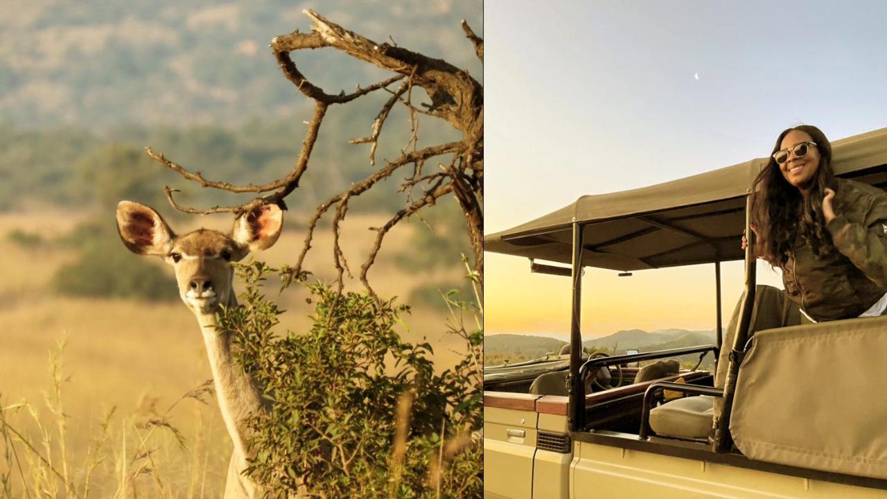 Nkomazi Game Reserve By Newmark بادبلااس المظهر الخارجي الصورة