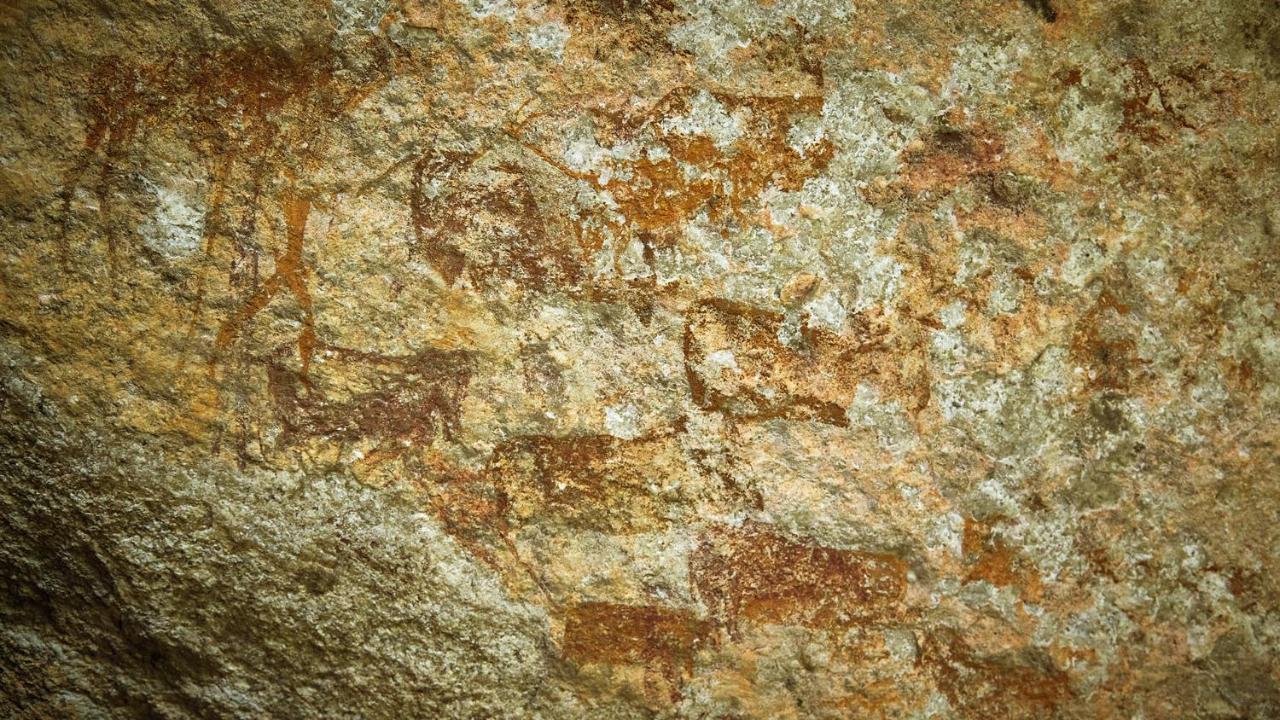 Nkomazi Game Reserve By Newmark بادبلااس المظهر الخارجي الصورة