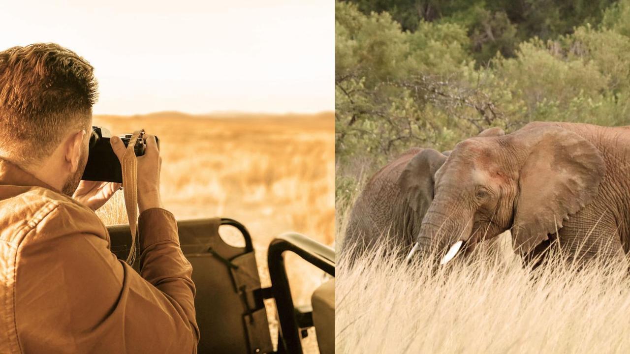 Nkomazi Game Reserve By Newmark بادبلااس المظهر الخارجي الصورة