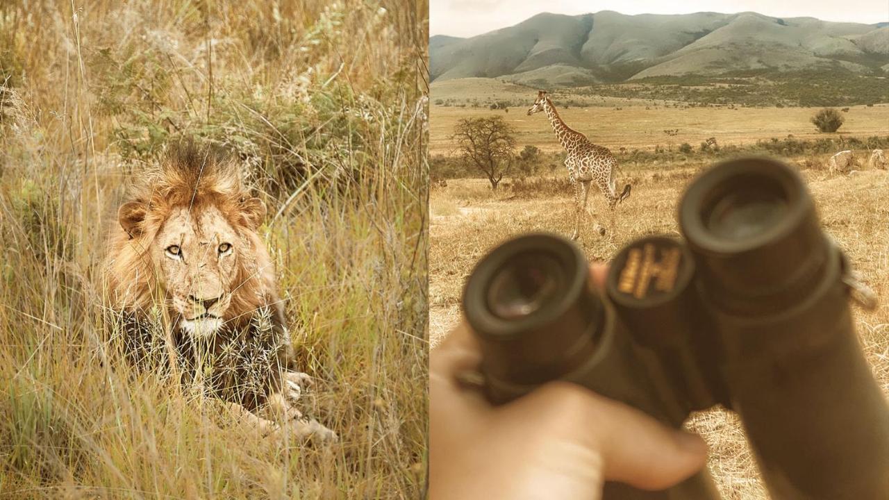 Nkomazi Game Reserve By Newmark بادبلااس المظهر الخارجي الصورة