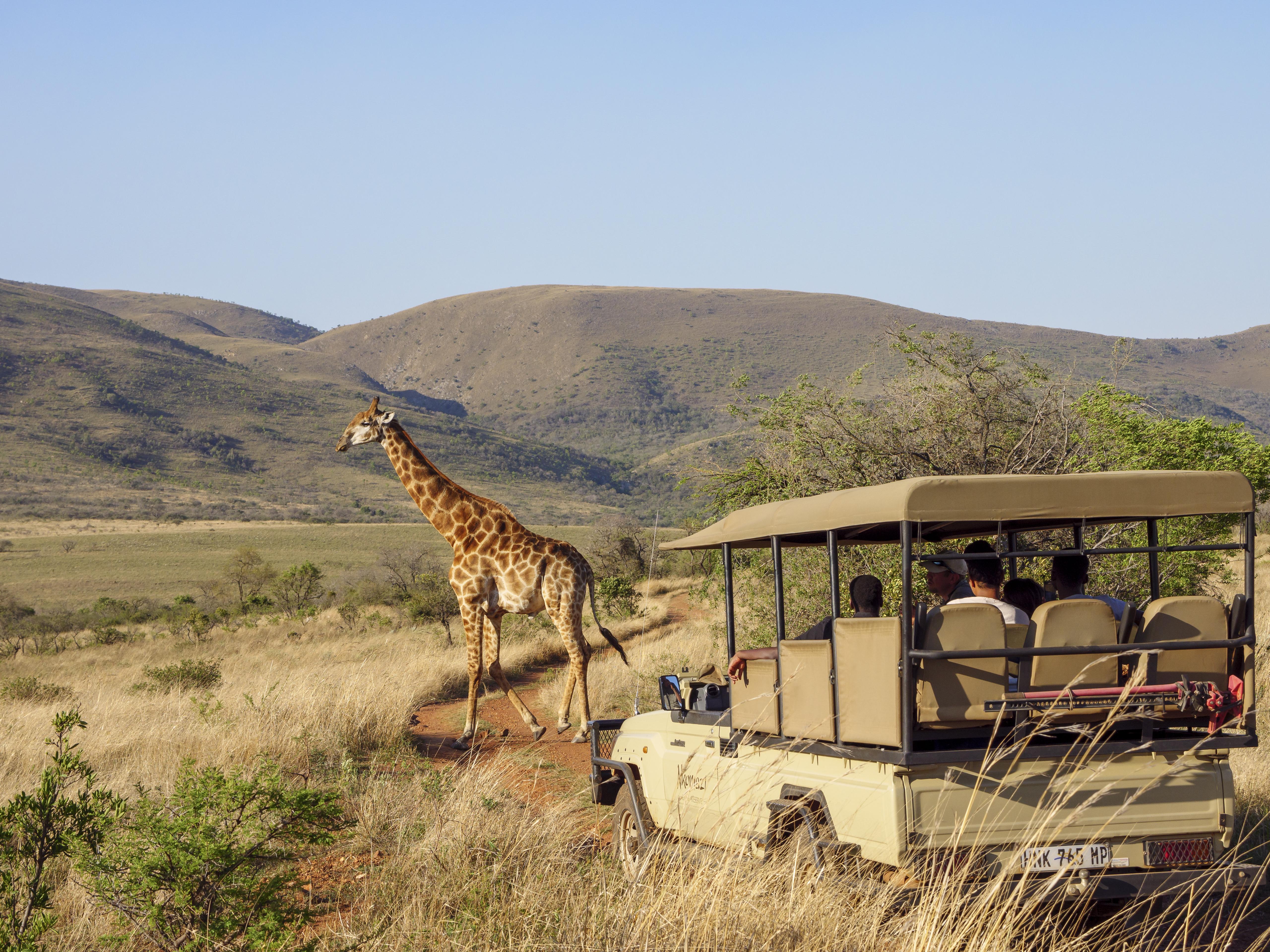 Nkomazi Game Reserve By Newmark بادبلااس المظهر الخارجي الصورة